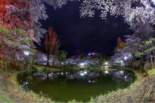 은현동시 내외막리