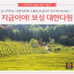 [어디갈까 추천나들이] 지금가야할 곳! 보성 대한다원