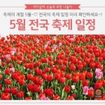 [어디갈까 추천나들이] 축제의 계절 5월!!! 전국 축제 모음~!