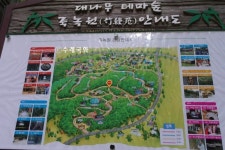 담양 죽녹원 - 대나무 축제 방문기