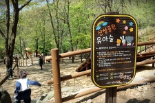 남한산성 왜 유아숲 놀이터만...