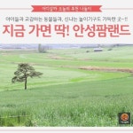 [어디갈까 가족 추천나들이] 지금 가면 딱~! 안성 팜랜드~!