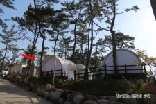 서해 캠핑장 갯벌체험가능한 어은돌힐링캠핑장!