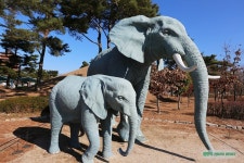 경주 가볼만한곳 경주타워(코리아실크로드)