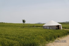 당진여행 아그로랜드 태신목장 입장료및 이용팁