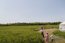 당진여행 아그로랜드 태신목장 입장료및 이용팁