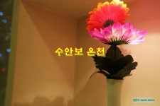 수안보 온천 조선호텔