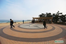 겨울바다의 감동은 칼바람도 막지 못한다 / 강릉 가볼만한곳 안목항 커피거리