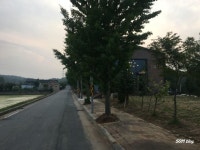 서수 분위기 좋은 레스토랑, 99씨엘.99ciel (익산, 군산)