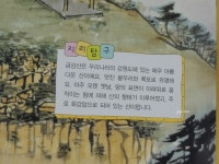 통합교과 미술동화책, 도깨비 뭉치의 그림구경