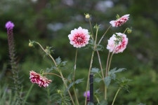 경기도 연천 임진강.(임진강 모텔)