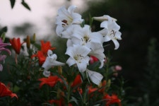 경기도 연천 임진강.(임진강 모텔)