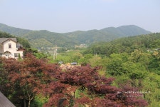 양평가족펜션 용문산 야생화마을에서 숲체험