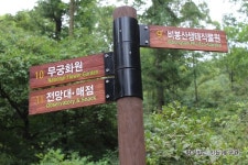 <체험학습프로그램>용인식물원 한택식물원 여름생태교실 신청하세요.