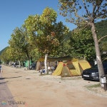 청송 상의 야영장