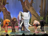 잔잔한 감동에 가슴 뭉클해지는 가족 뮤지컬 정글북