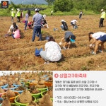 [어디갈까 추천나들이] 다가오는 가을에 가기 좋은 9월 전국축제~!