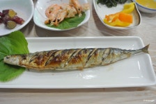 [포항맛집/구룡포맛집] 동해회대게 :: 여러종류 모둠회를 즐기기 좋은곳.