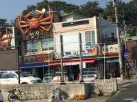 [포항맛집/구룡포맛집] 동해회대게 :: 여러종류 모둠회를 즐기기 좋은곳.