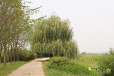 위고웨건 플러스 너와 함께라서 행복해!