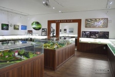 [여주곤충박물관] 신비로운 곤충의 세계로 놀러가요~