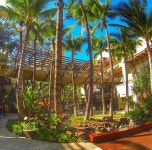 하와이~~ 여행왔어요!! 로얄하와이안 쇼핑센터 코이호놀롤루도 놀러왔어요 ㅎㅎ