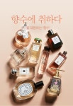 향수에 취하다 / 나를 표현하는 향수