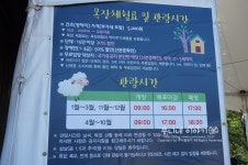 대구근교나들이 칠곡양떼목장 탁 트이네