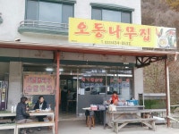 홍천 맛집 칼국수와 감자전에 팔봉산막걸리 한잔 하기 좋은 오동나무집