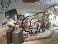 볼거리, 체험거리 가득했던 전곡선사박물관