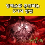 혈액순환 증진하는 5가지 방법