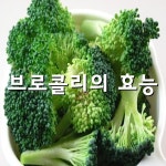 ■ 브로콜리의 효능