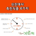 신진대사 촉진식품 6가지