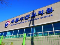 부산 가볼만한곳 해동 용궁사와 국립수산과학원