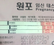 원포 임테기 헌번만 봐주세요...