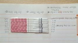 원포 대조선만큼은 언제쯤 진해지나요?