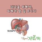 담낭을 위해서, 피해야 할 일 8가지