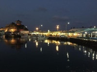 [속초 여행] 재래시장 느낌이 물씬 나는 동명항