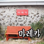 제주 독채펜션 돌담집그대로 마레카