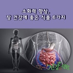 소화력 향상, 장 건강에 좋은 식품 6가지