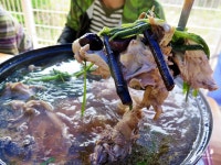 북한산 맛집 효자가든 영양닭백숙 먹고 힐링~