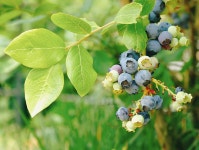 파주 가볼만한곳[소울원. 헤이리마을]기차여행 자전거 여행코스