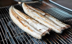 판교장어맛집/ 맛이 다른 비결은 무항생제