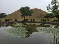 [경주여행]경주 대릉원 구경하기