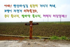 국내 여름휴가지 전북가볼만한곳 해수욕장(변산.구시포.선유도-맛집.펜션)