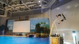 제주 아쿠아플라넷 재미와 학습 동시에 해결