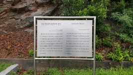 공룡 발자국화석