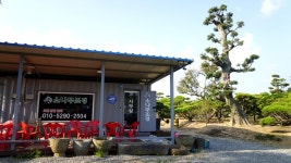 서울 근교 가볼만한곳 김포 대명항. 새우튀김. 김포함상공원
