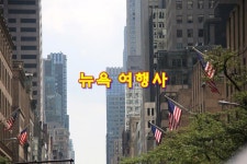 뉴욕 여행을 위해 찾게 된 뉴욕 여행사 동부관광!