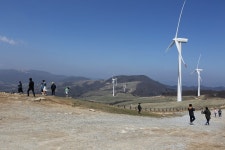 눈을 뜰 수 없을 정도의 봄바람의 樂行 / 강원도 갈만한 곳 대관령 삼양목장 바람의 언덕